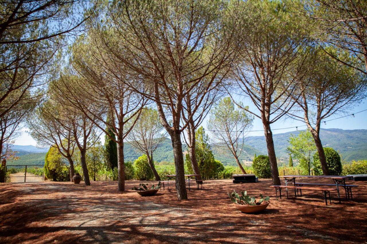 Buccia Nera Villa Chiassa Superiore Exterior photo